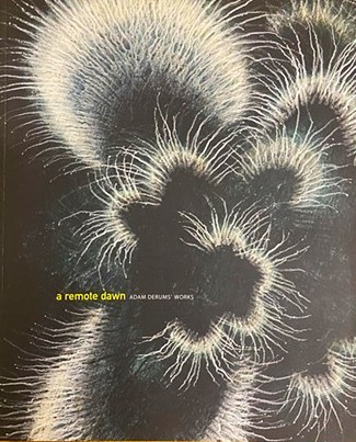 PUBLICATIONS