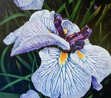 Asheville Gallery of Art : Summer Serenade /Colors & Warmth - August 1-30th