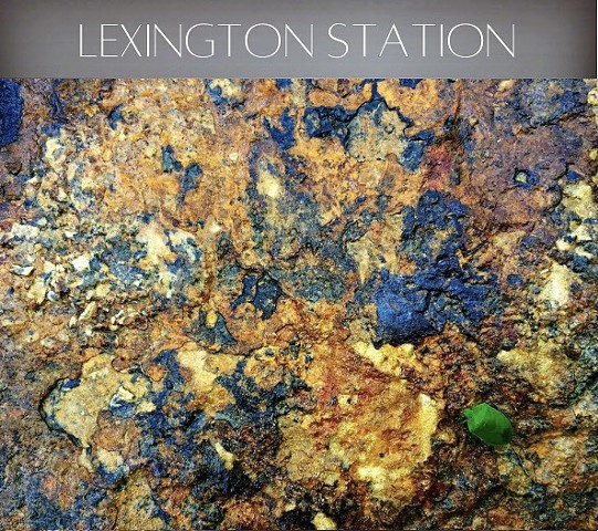 LEXINGTON STATION