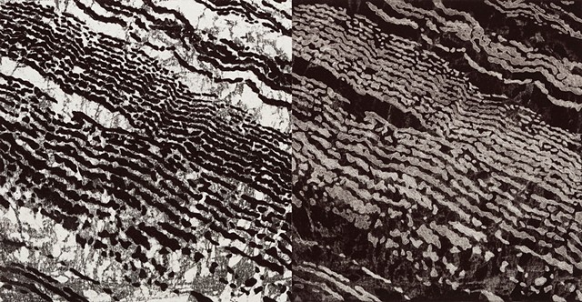 Trace Monotype of soil left by the water of rivers, floods, by Debra Jewell artist & printmaker, Felix Kulpa Gallery, Santa Cruz CA