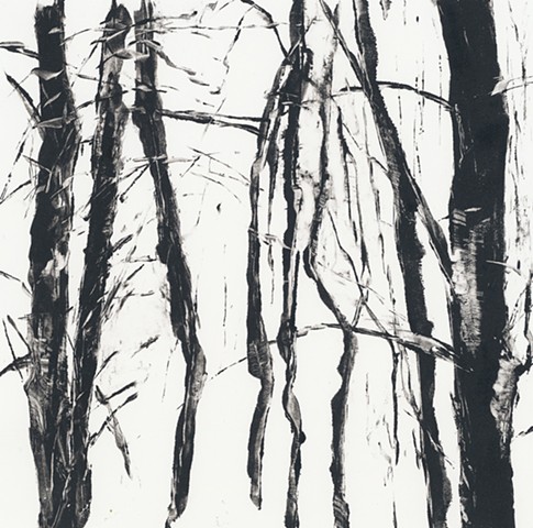 Monotype print of forest tree branches on Rives BFK printmaking paper by artist printmaker Debra Jewell