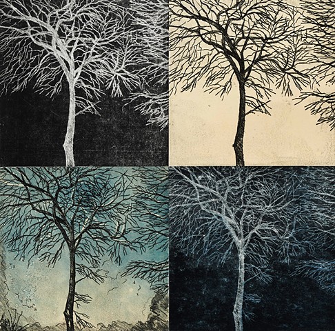 Trace Monotype print of trees with Chine Coll on Rives BFK printmaking paper by artist printmaker Debra Jewell