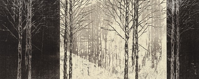 Trace Monotype print of forest trees with Chine Collé on Rives BFK printmaking paper by artist printmaker Debra Jewell