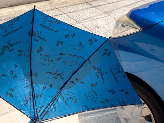 Blue Umbrella With Dinosaurs, Kyoto