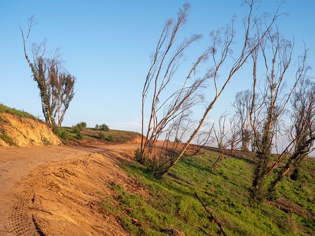 Will's Empty Hill (The Fire Road Almost A Year After The Fire