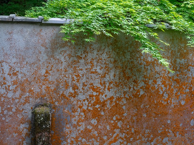 Nanzenji Orange and Green