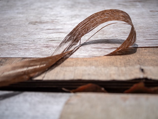 Peeling Veneer, Suma
