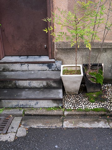 Kyoto Back Entrance