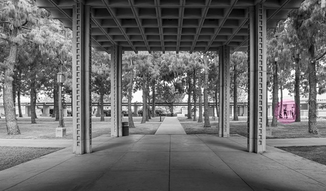 Barnsdale Park