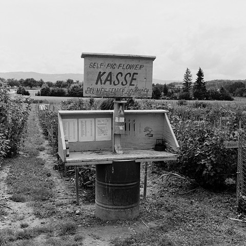 Kasse, Binningen