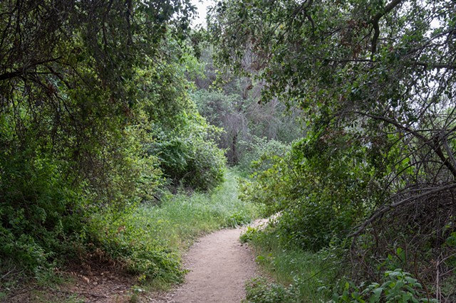 Topanga Trail