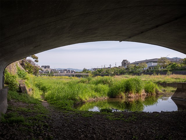 Under the Bridge by the Kamo, Kyoto