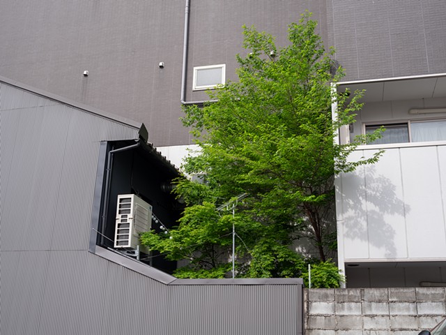 Nature and Culture in Kyoto