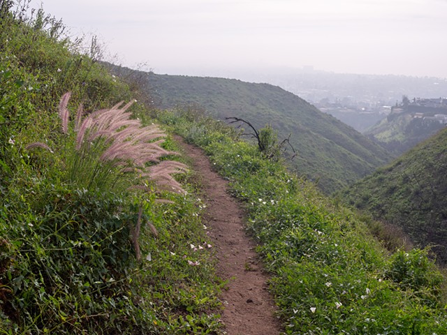 Topanga Trail