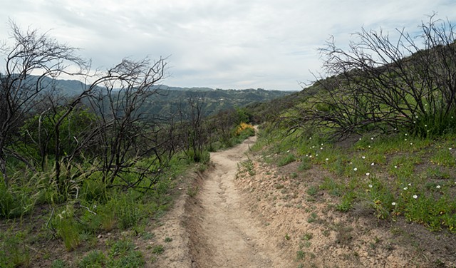 Topanga Backbone Trail