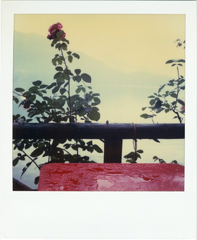 Tessin After Rain