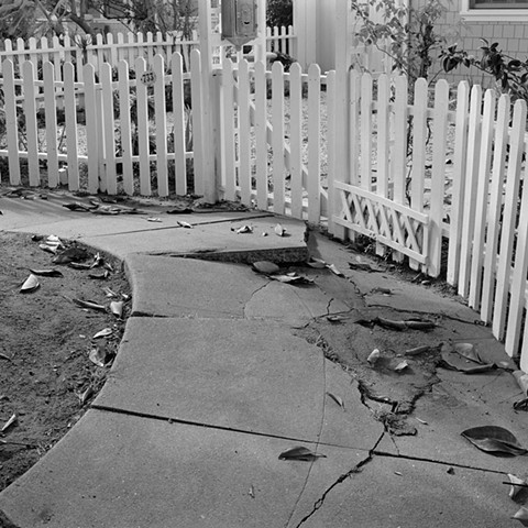 Cracked Sidewalk and Picket Fence