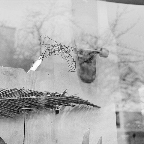 Santa Cruz Window Display