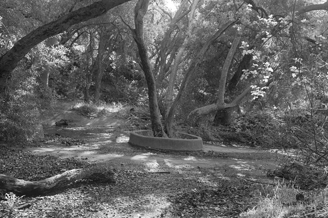 Off Santa Ynez Trail