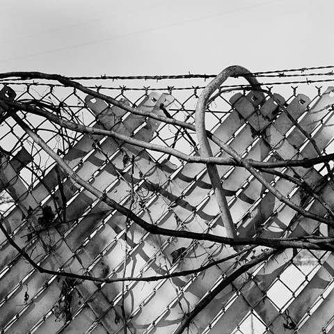 Fence Entwined