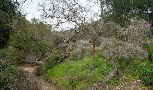 Santa Ynez Canyon Trail Marker