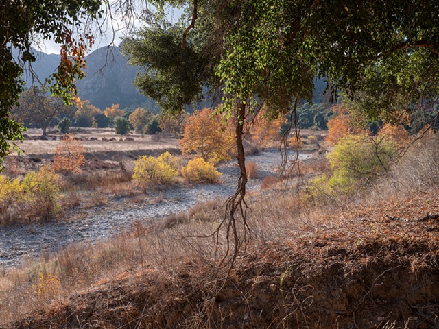 Malibu Creek Dry