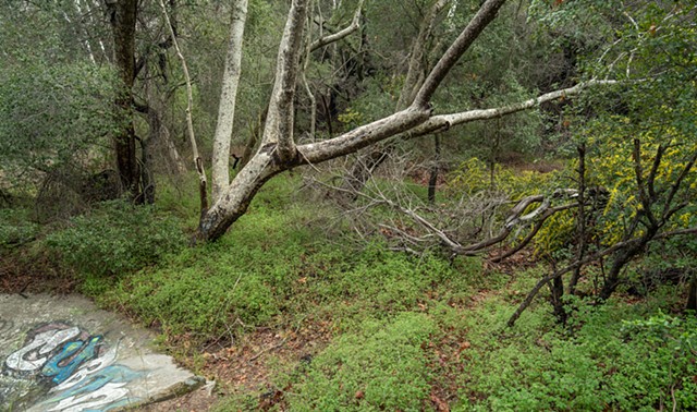 Santa Ynez Creek Trailhead