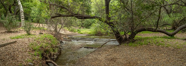 Temescal Creek
