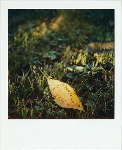Leaf, Witterswil