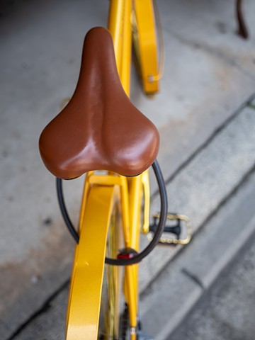 Golden Bicycle, Kyoto