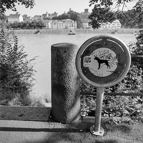 Uferspaziergang #16