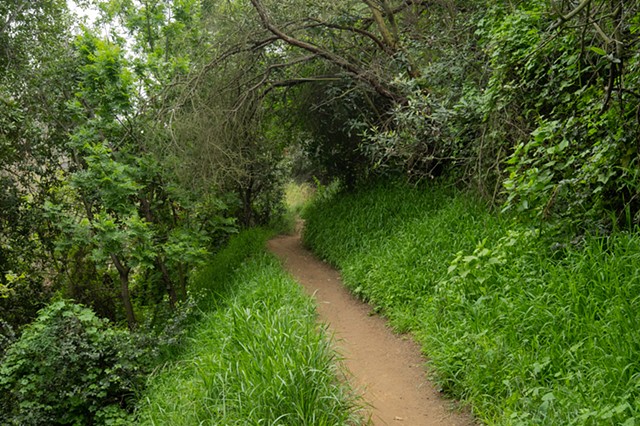 Temescal Return Trail