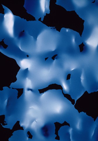 Blue Petalscape
