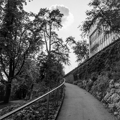 Uferspaziergang #10