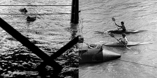 Duck and People Diptych