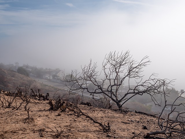 Franklin Fire Aftermath