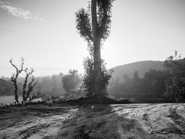 Will Rogers State Park Almost A Year After It Burned