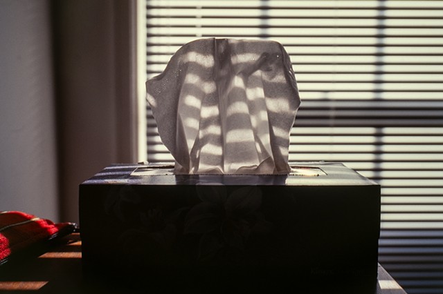 Kleenex and Venetian Blinds