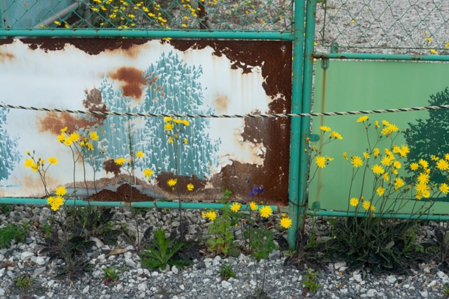 Decay In Blossom, Chichibu