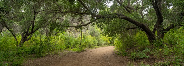 Escondido Trail Panorama