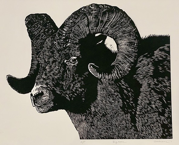 Bighorn Ram woodblock print