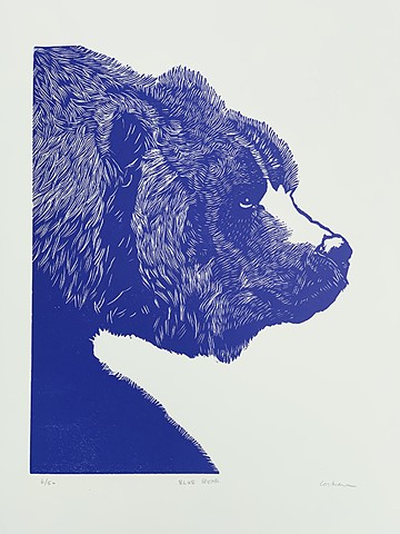 Blue Bear 6/50