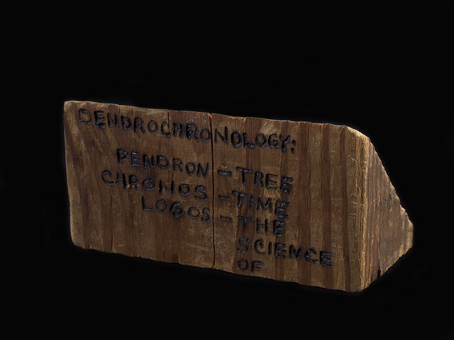 Dendrochonology Roots