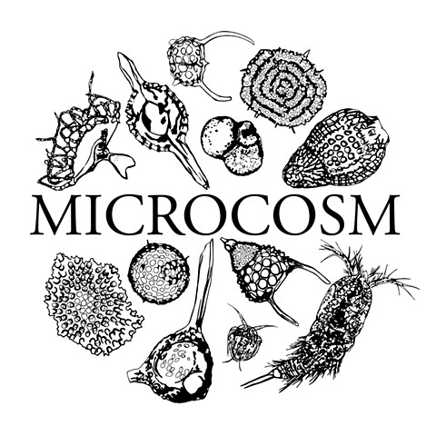 Microcosm T-Shirt Design