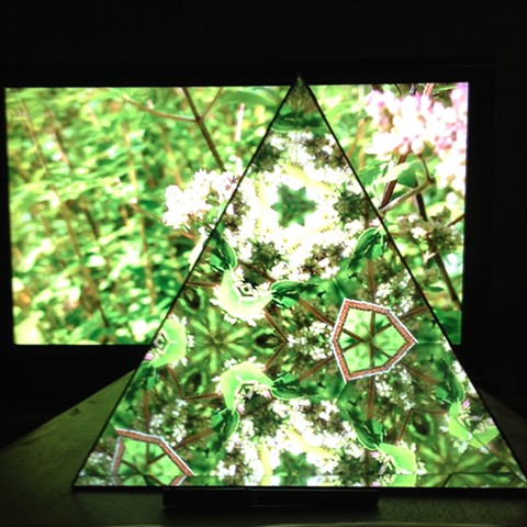 Collaboration of Megan Czekaj and Mark Geist