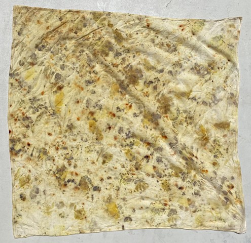 Eco Print 