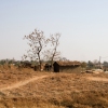 Path to Area 59