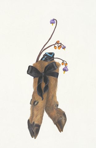 Lauren Levato Coyne drawing, poison dart frog, severed hooves