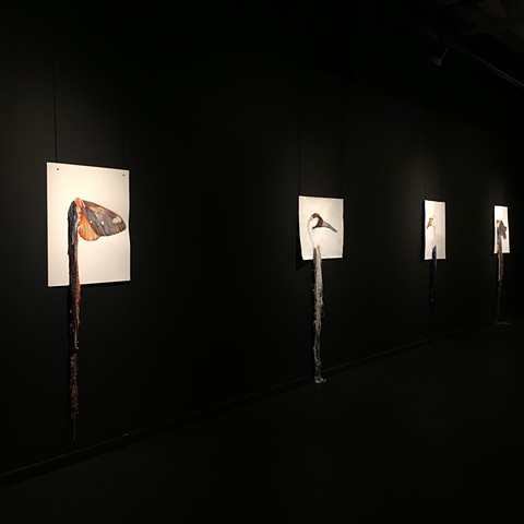 Exhibitions & Artist Photos