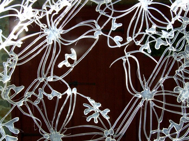 hot glue lace for the International Biennial of Linen/Flax in Déschambault, Quebec